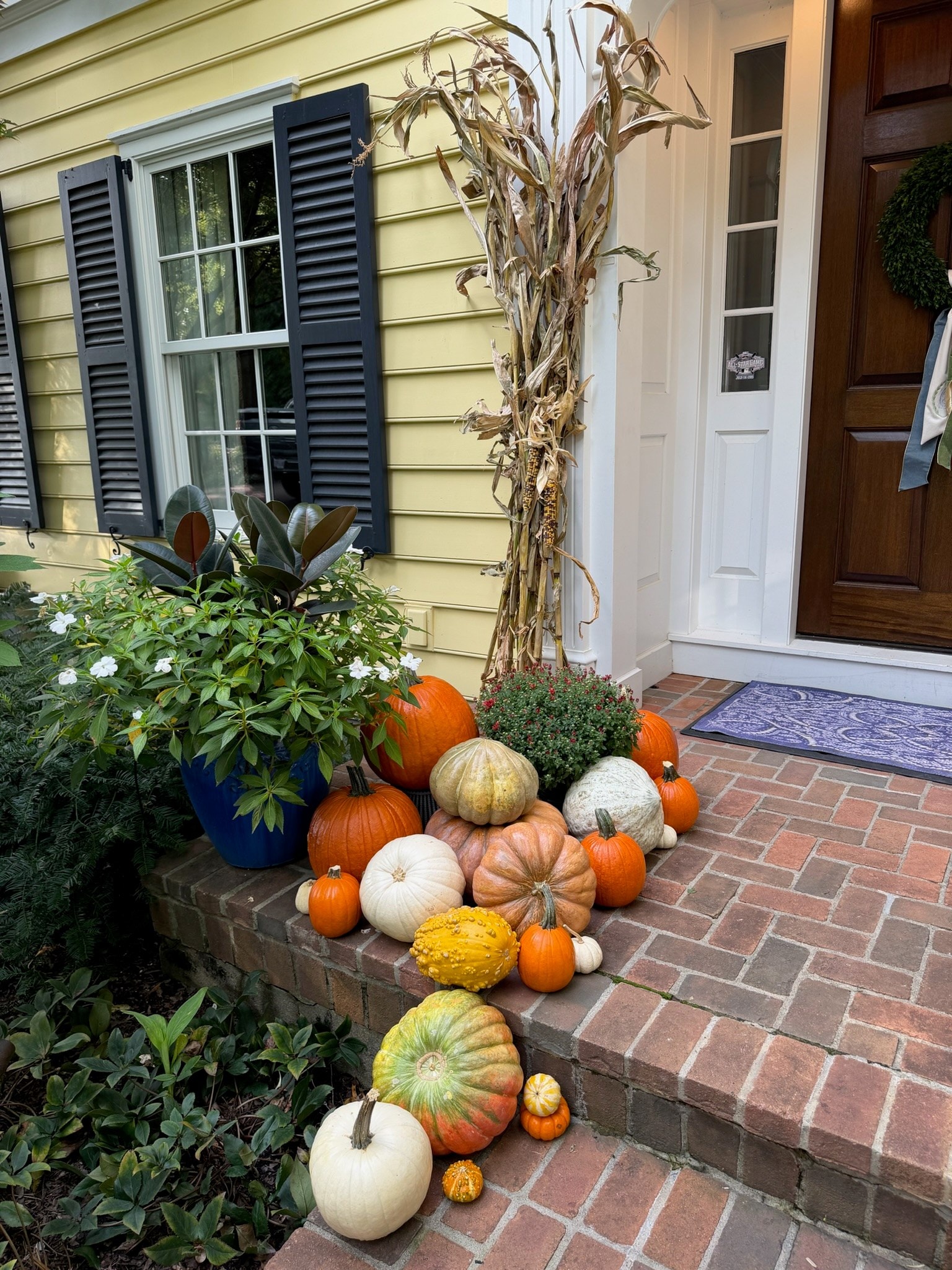 Orange, white and heirloom pumpkins with gourds and red mums beside the left cornstalk and blue planter