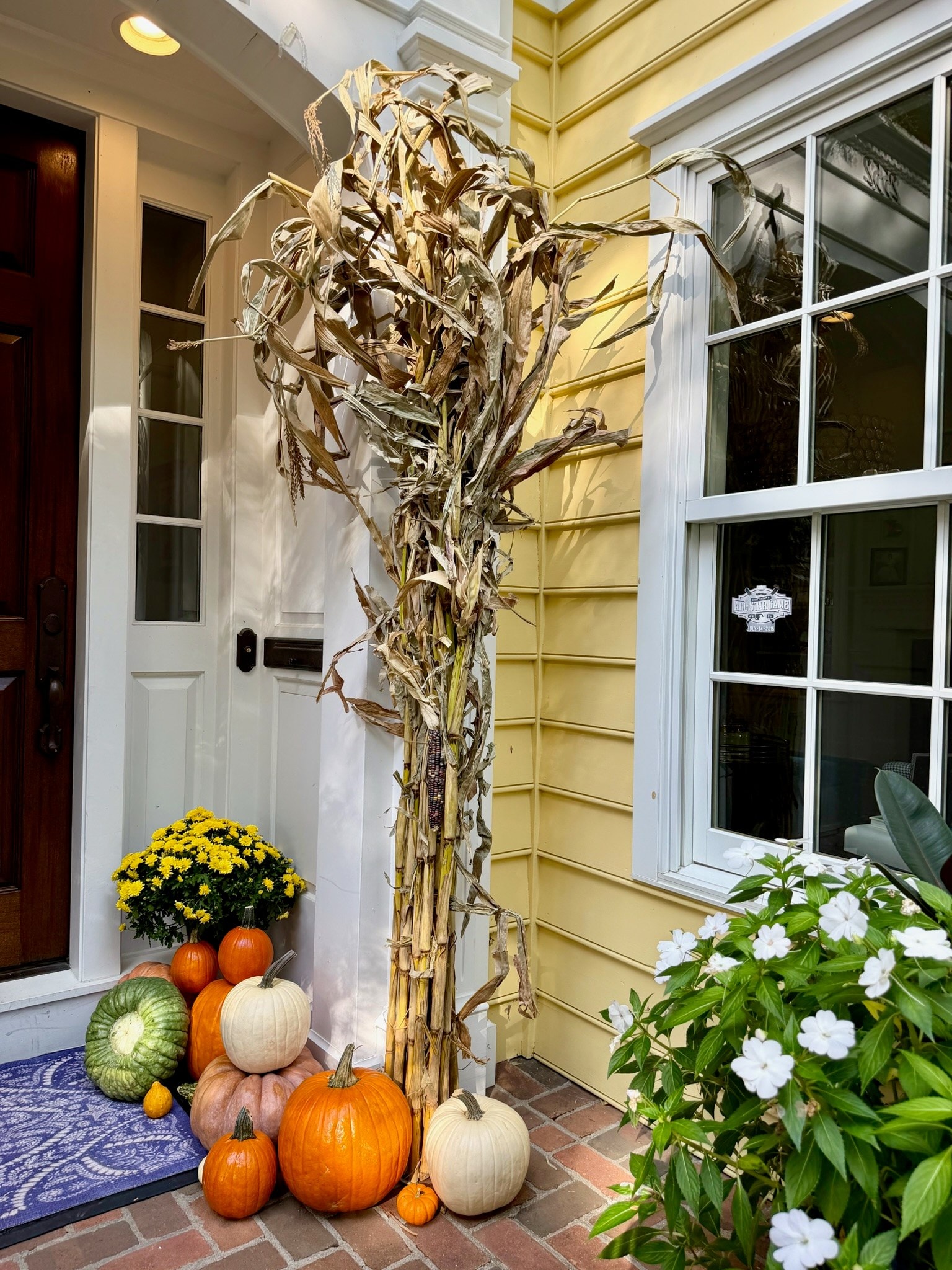 Yellow mums and a cluster of orange, white and green pumpkins beneath the right cornstalk at the yellow house