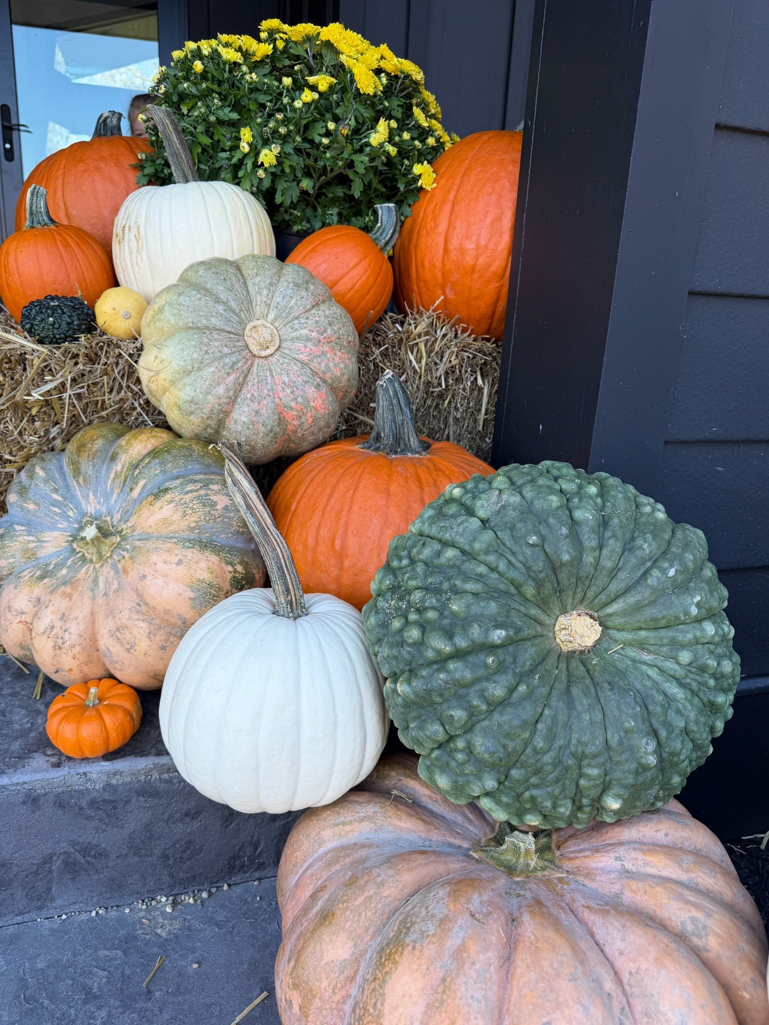 White, orange and green pumpkins grouped by the right entrance wall