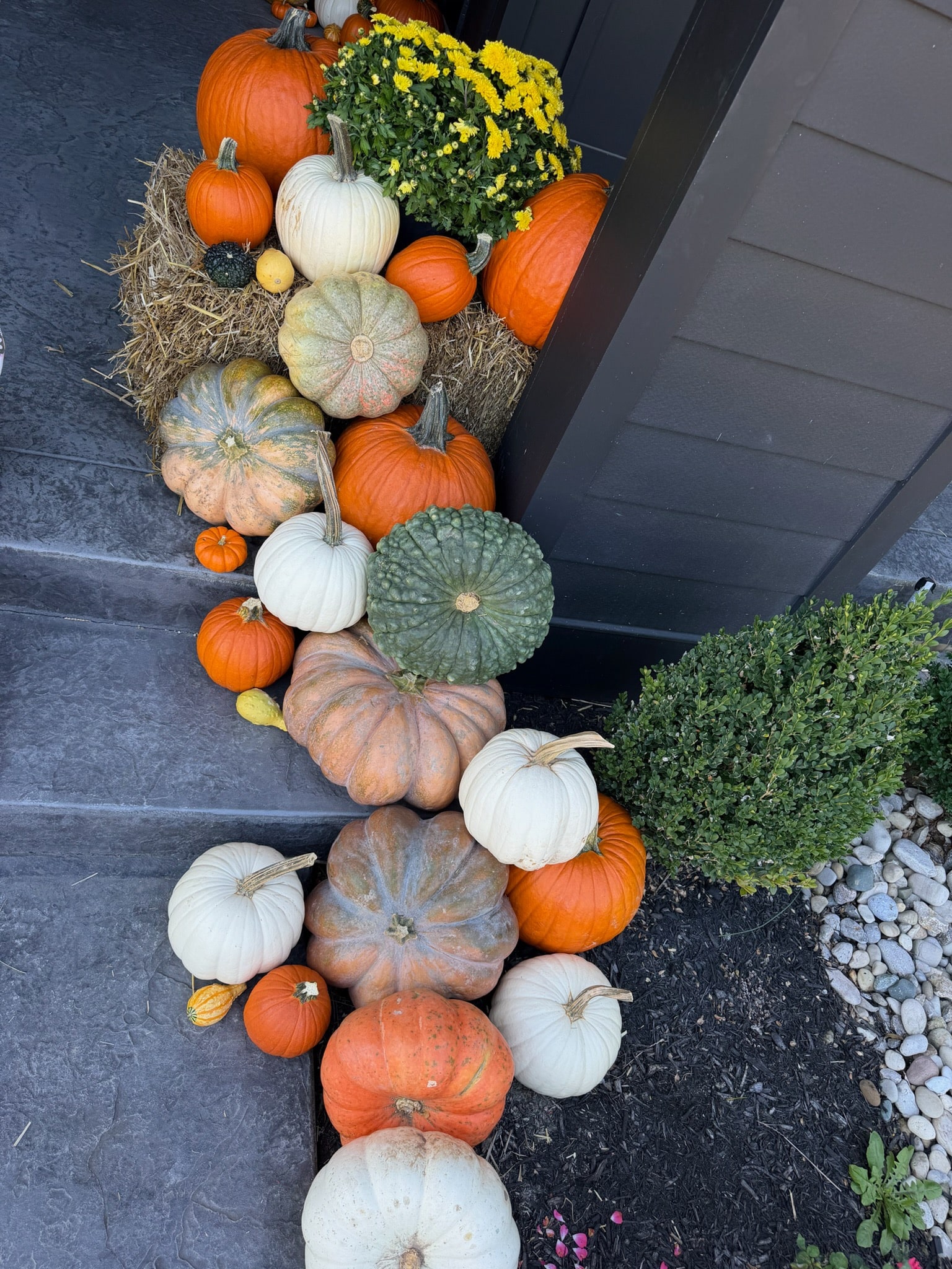 Pumpkins and gourds following the right side of the dark stone steps