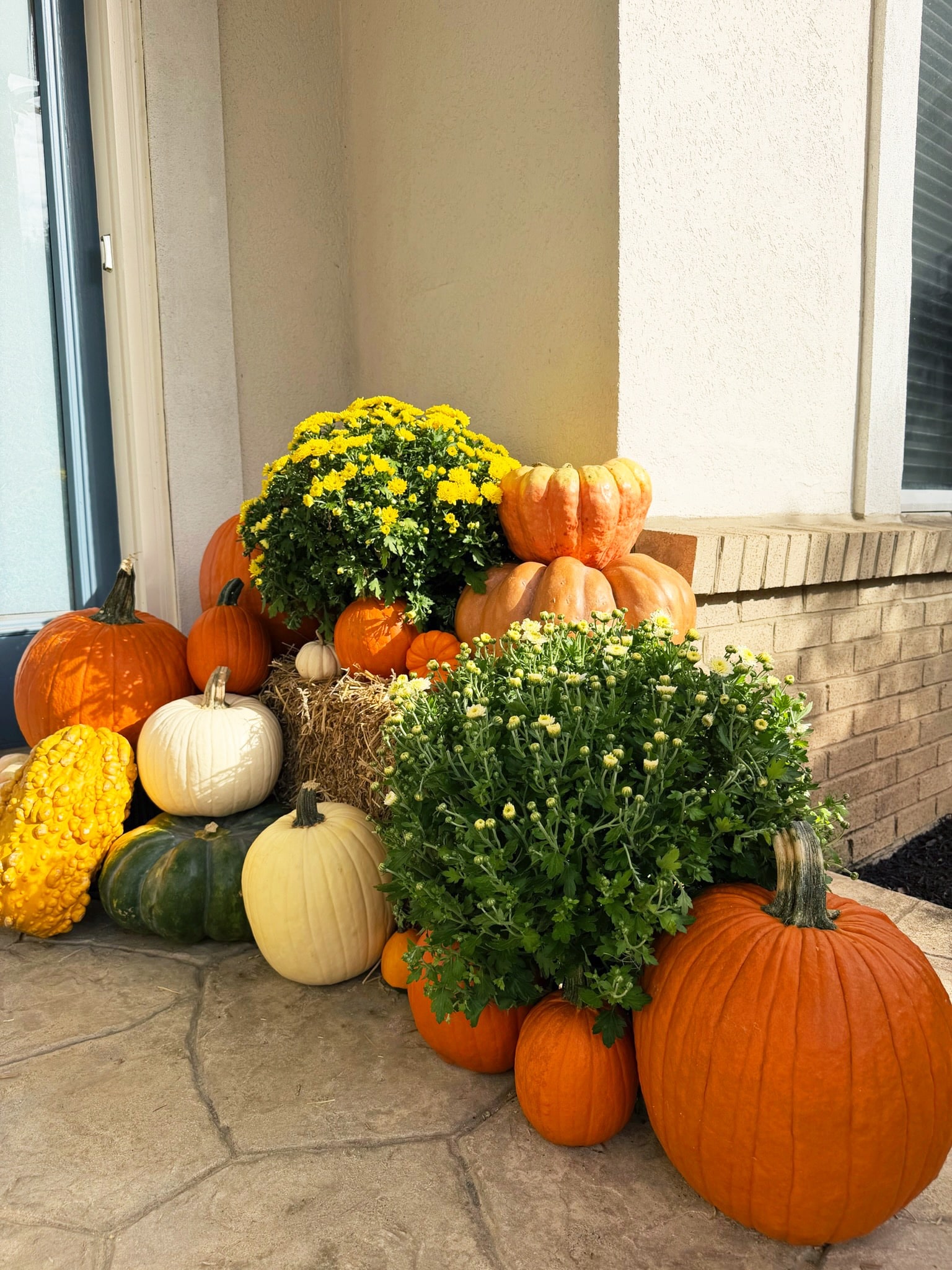 Mums and stacked pumpkins arranged by the blue front door