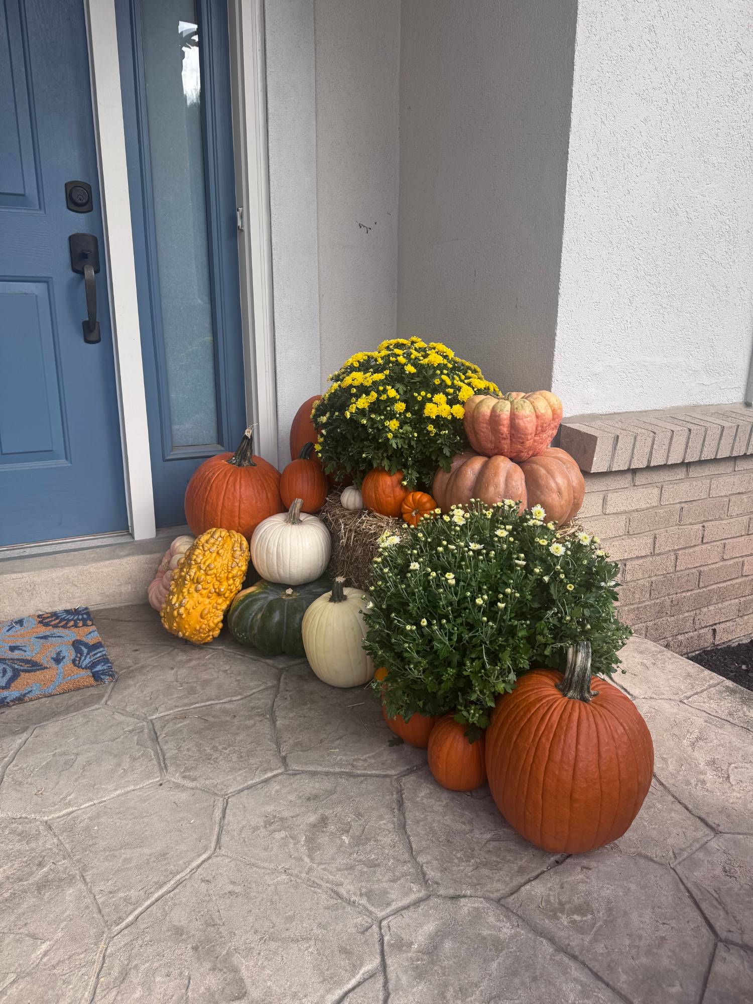 Yellow and white mums with stacked heirloom pumpkins and a straw bale beside a blue front door