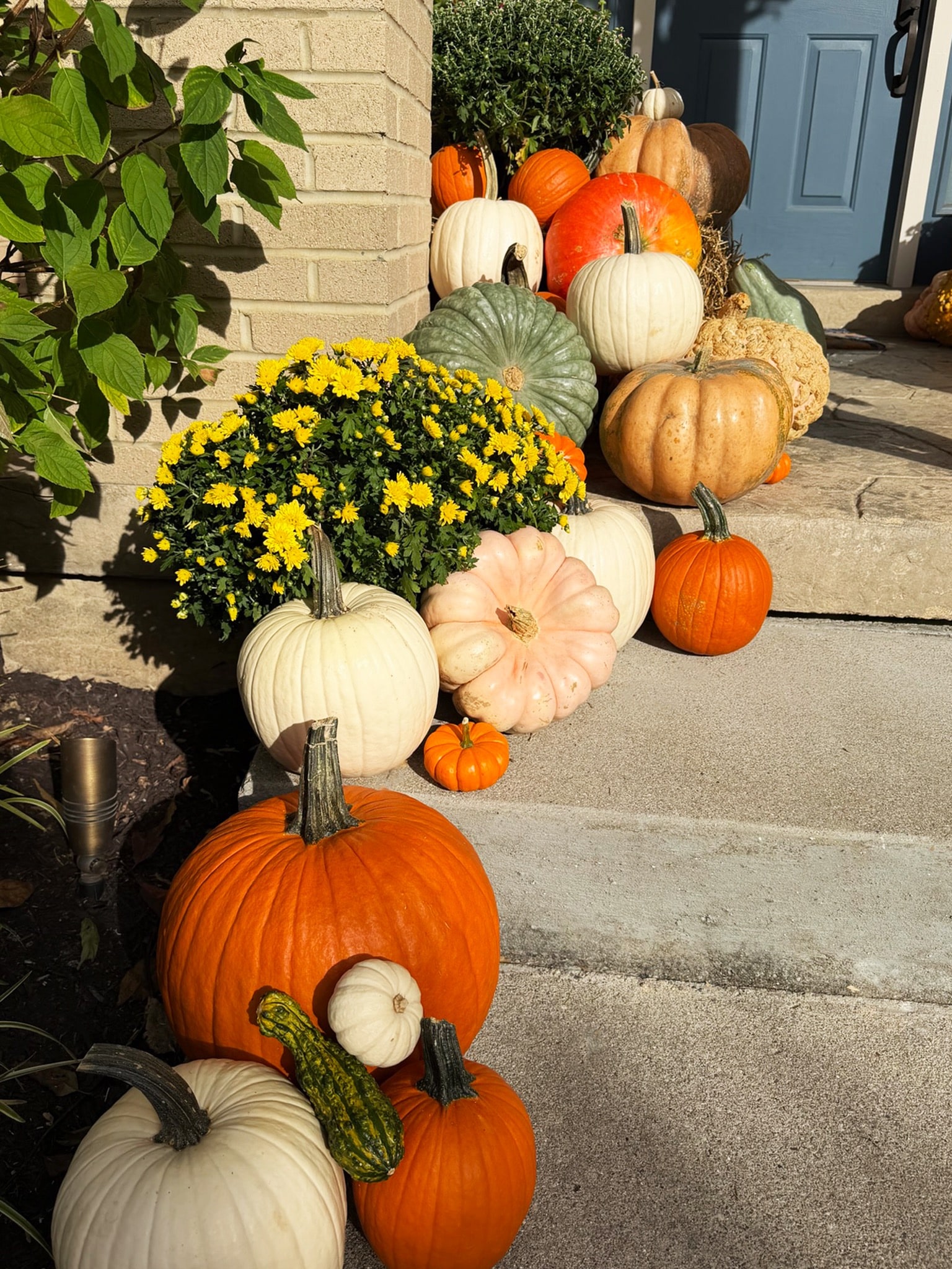 Yellow mums and mixed pumpkins cascading beside the left brick pillar