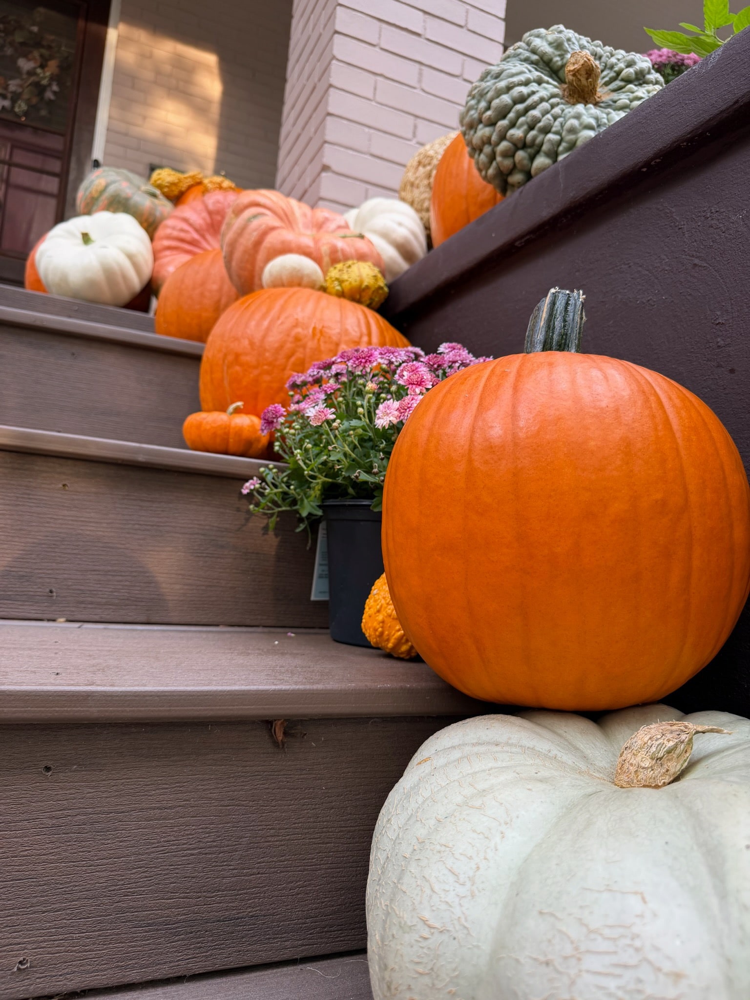 Orange pumpkins, white gourds and purple mums arranged along the right steps