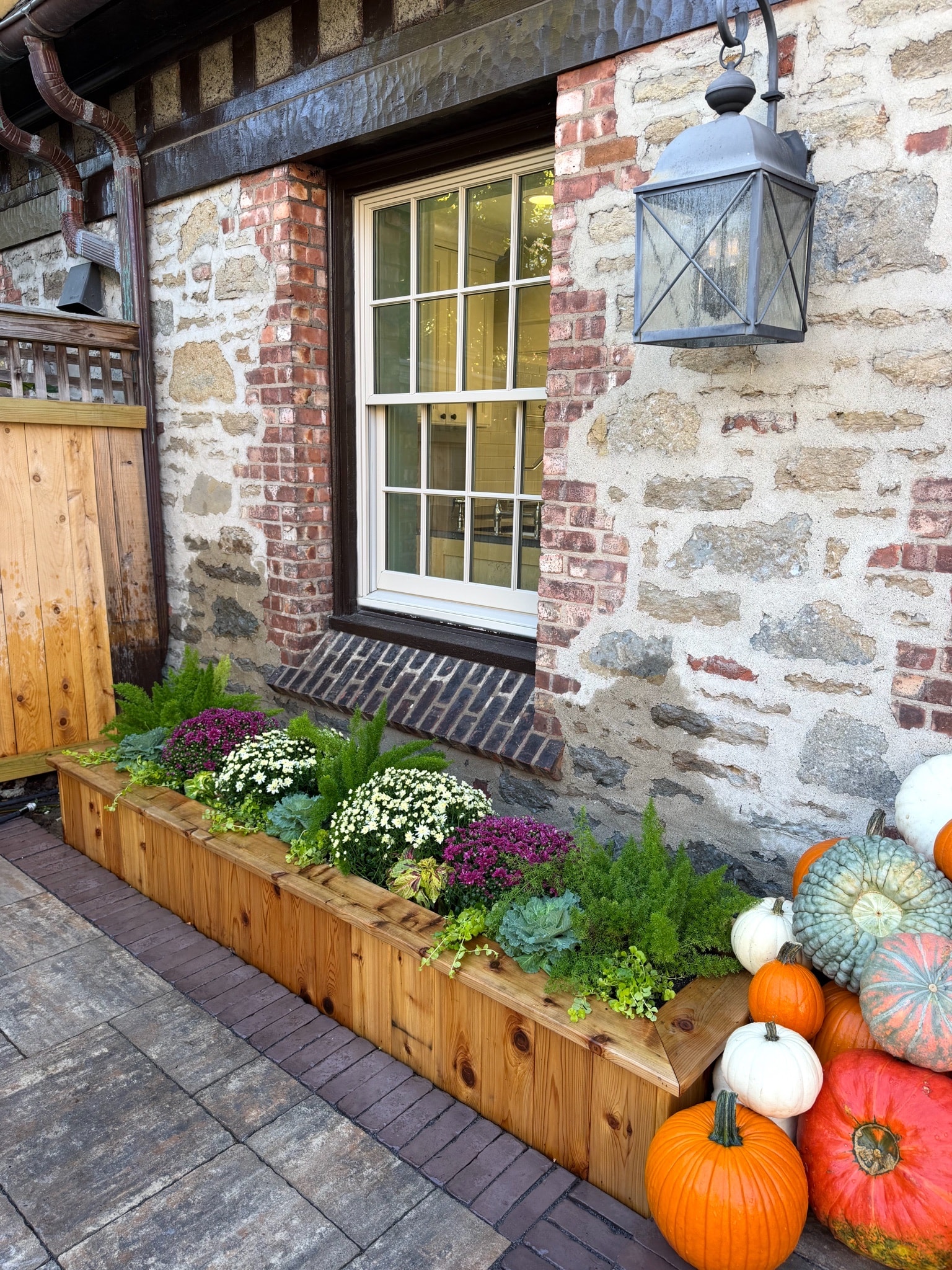A cedar planter box against a stone house beneath a window, planted with mums, ferns and succulents, with pumpkins beside it