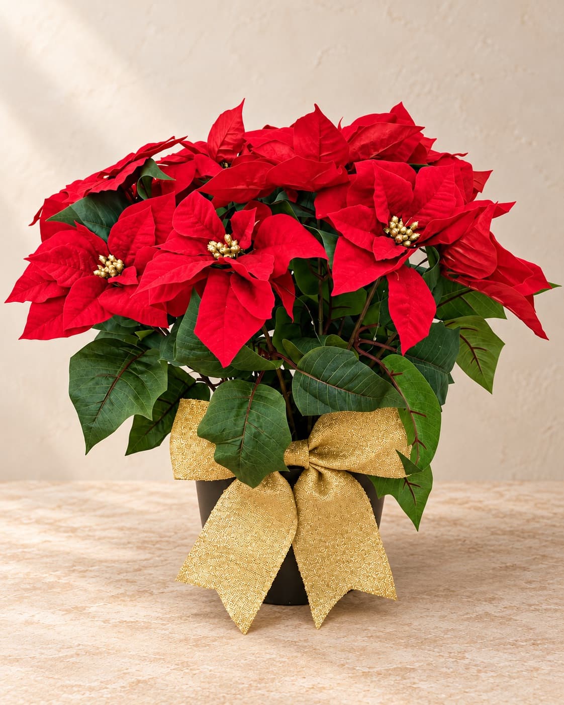 A 30-inch red faux poinsettia in a dark pot with a broad gold bow