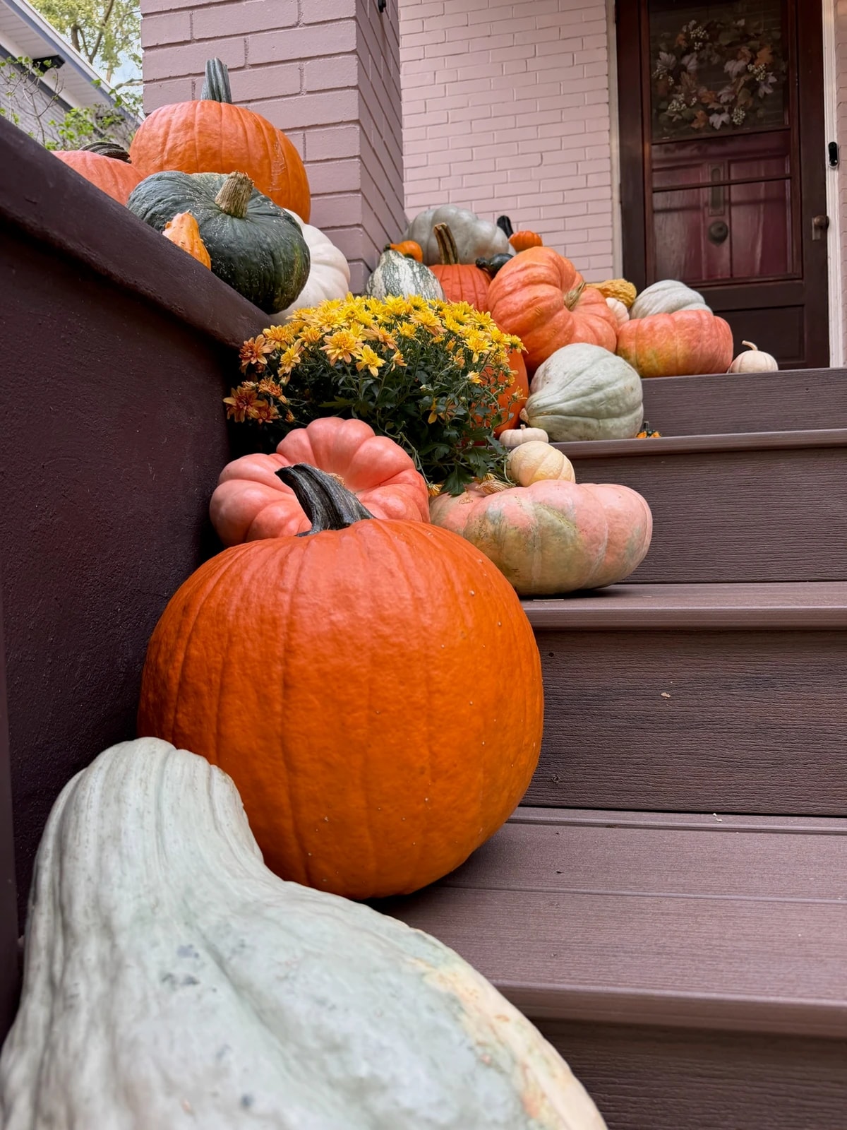 Pumpkins and yellow mums following one edge of wooden steps, leaving room to walk to the front door