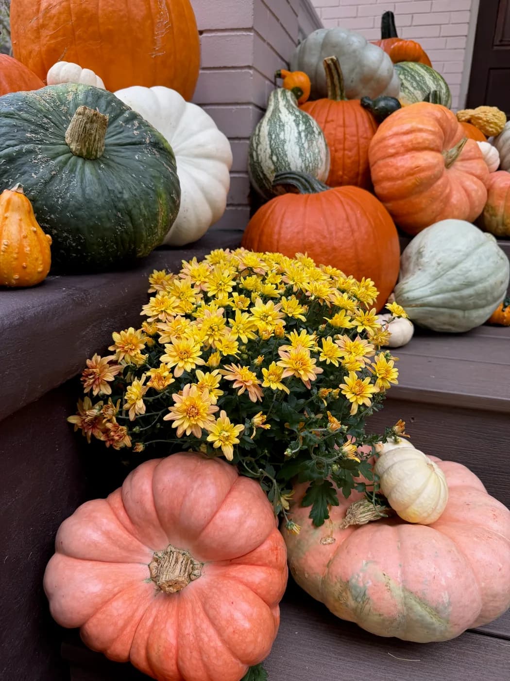 Yellow mum flowers among orange, green, cream and pink pumpkins beside porch steps.